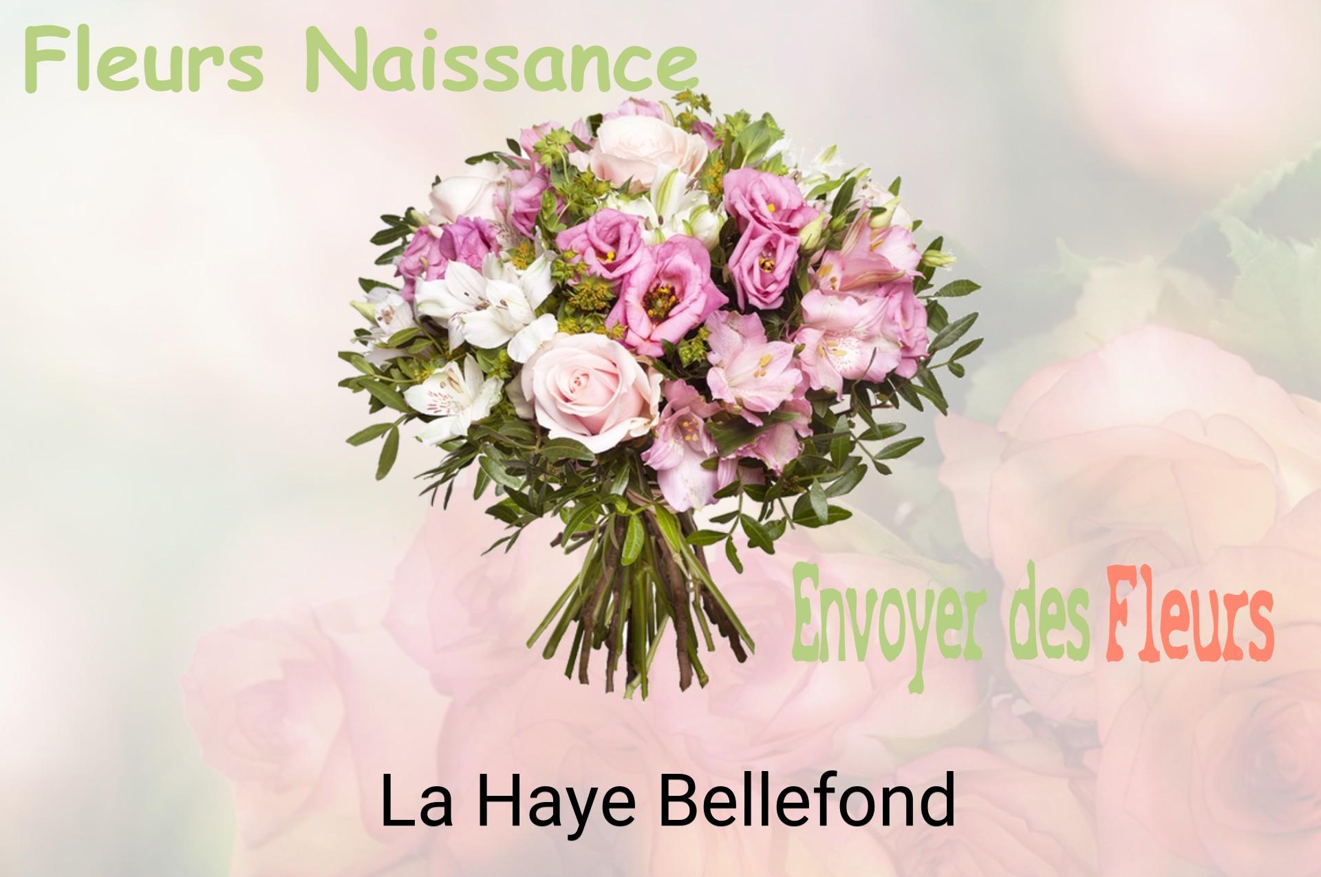 Bouquet de fleurs de naissance livré à La Haye-Bellefond
