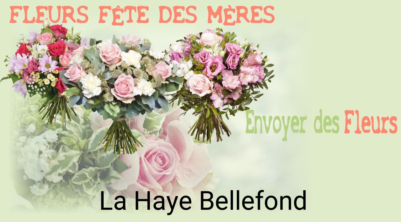 Bouquet de Fête des Mères livré à La Haye-Bellefond